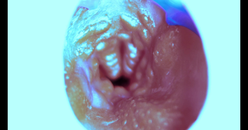 SEXY_GUYBEST: Como eu fodo de dentro! Câmera dentro!