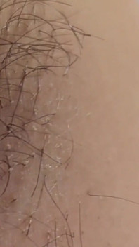 POV Sweaty Hairy Armpit Worshipping JOI: as Reward for Humiliation