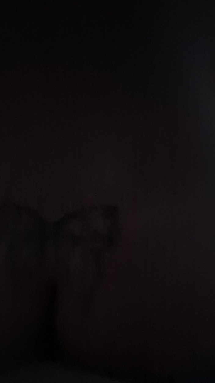 SFHarcerska: Abendfick mit einem heißen mädchen mit tätowierungen und abspritzen auf...