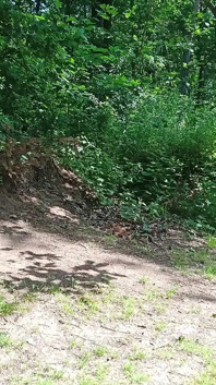 Stara seksowna autostopowicz dziwka z ulicy zerżnięta w lesie z, a następnie bez prezerwatywy