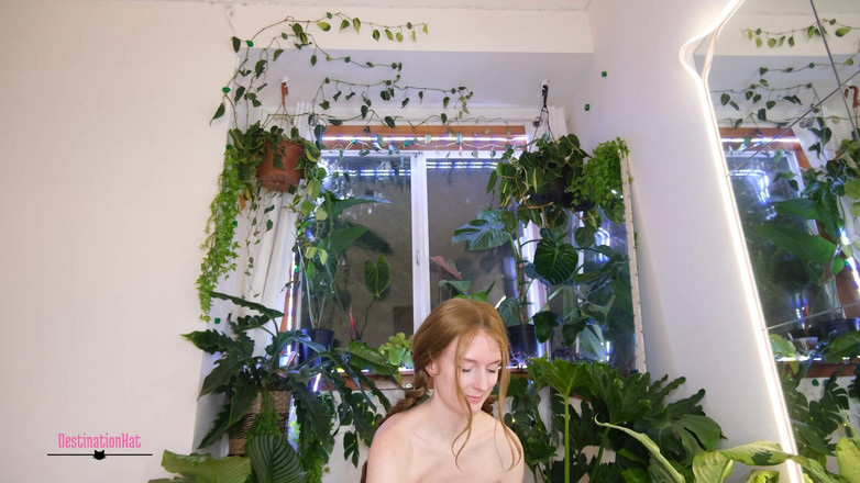 Destination Kat: Boks ve seks