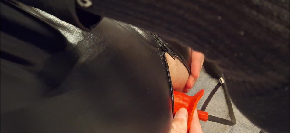 Dreamofevolution: Dildo hra