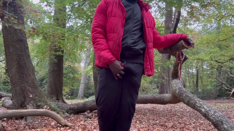 MrMagicDevil: Chỉ cần lắc lư, lắc lư và cọ xát nó...