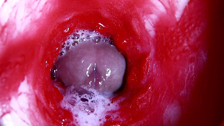 SEXY_GUYBEST: Trou sexy chaud et humide et grosse bite baveuse