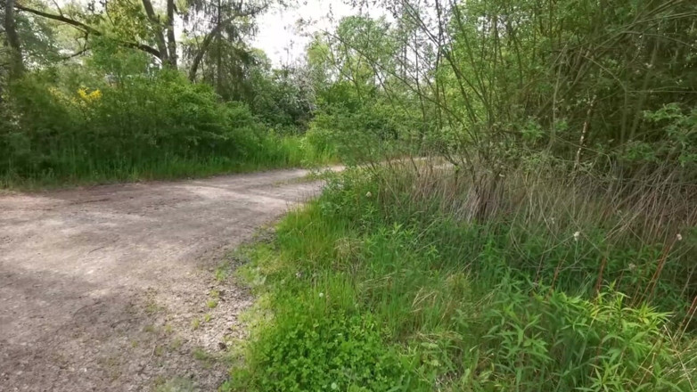 Bouncy Tits Action: Trest povislých koz na veřejnosti