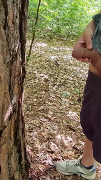 Mijado na árvore. Caminhada nua na floresta