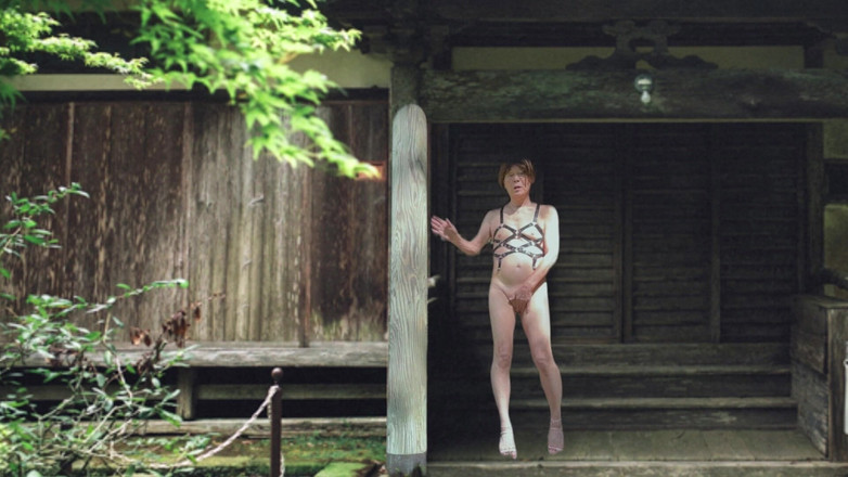 Pai-chan: 일본 노부부와 파이찬