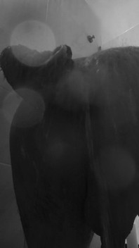 Cinematic Anal Exploration by Married Man