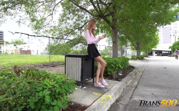 Trans 500: Todo sobre Ms.Thayer