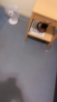 Mirror and Cock