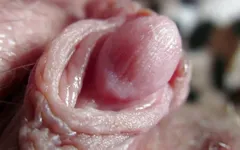 大阴蒂汇编2