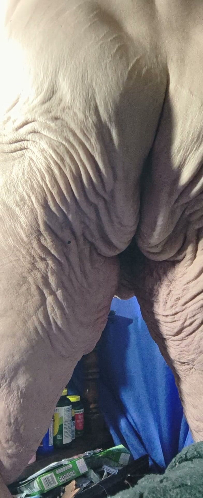 HerculesnVENUS: Flying to the Moon Tits Bouncing in the Room