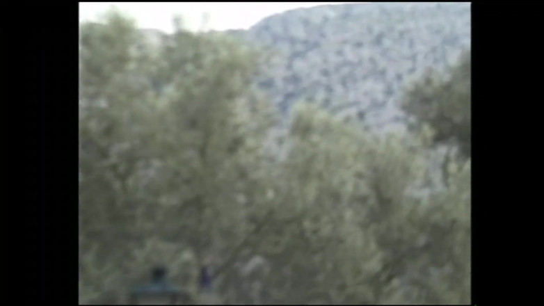 MMV TV - our best full movie: Poznaj mój citriol