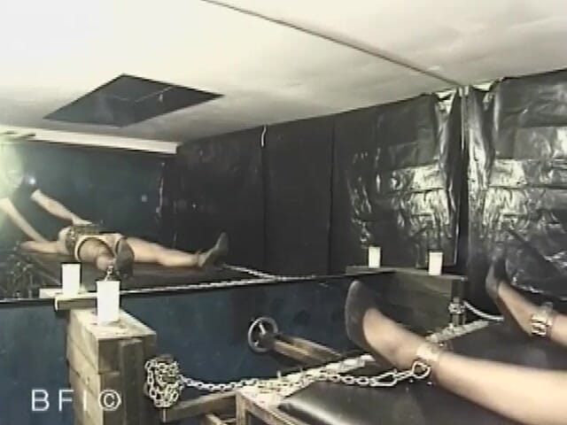 Slave Seks: 特别会议