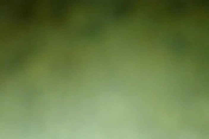 Mishelxl: Ke atas pantat 2