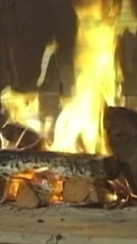 Зрелые ебари, двойная начинка, анальная оргия течет мясистая порция спермы
