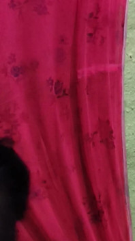 Indischer junge fickt sexy heißes bhabi in ihrem zimmer