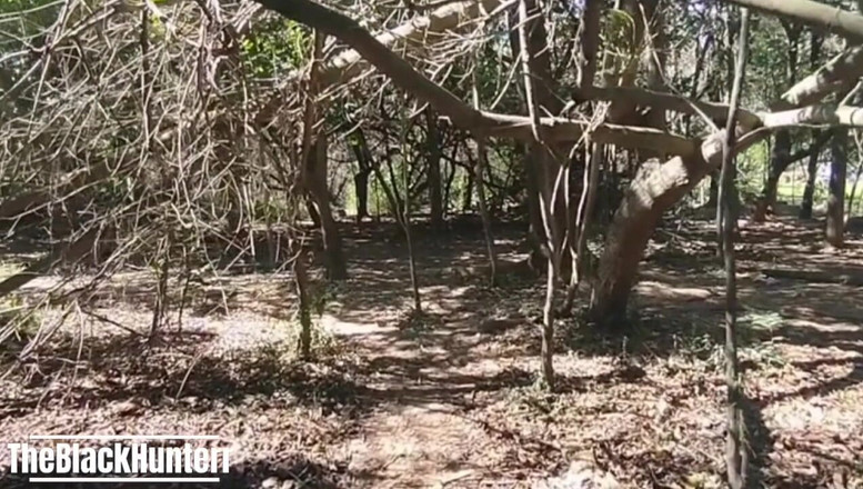 TheBlacKHunterr: Můj kolega v parku