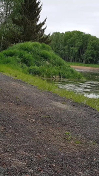 Männertag Mal Anders: Ein Besonderer Spaziergang