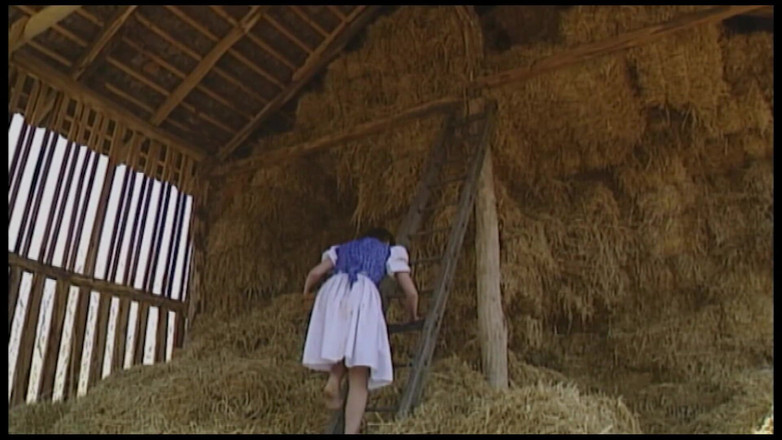 German Full Movies: सट्टेबाजी चुदाई - सब कुछ अनुमति है। वीर्य बहता है और स्तन उड़ते हैं