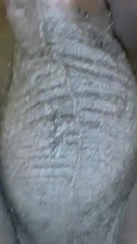 1390730778.mp4