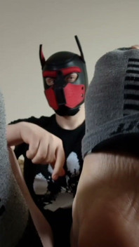 Playful Pup Tease Tickles Crotch Close