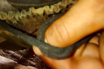 Gangbang straight: Jerker erkek adam pissi amına haraç veriyor