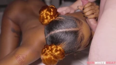 Bonita africana gata esguicha para pau branco