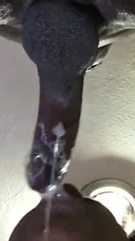 Pipe super baveuse *meilleure pipe de tous les temps*