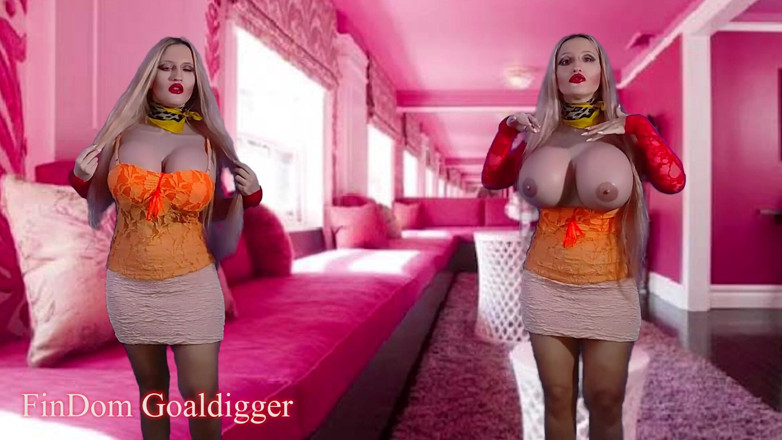 FinDom Goaldigger: Görünmez tanıklar 31 talimatı bilgisayar oyunu