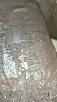 Village Fuking Video