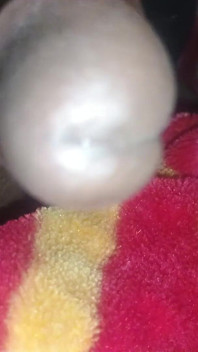 Dick Video