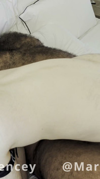 My Big Bear Neighbor Is Fucking Me