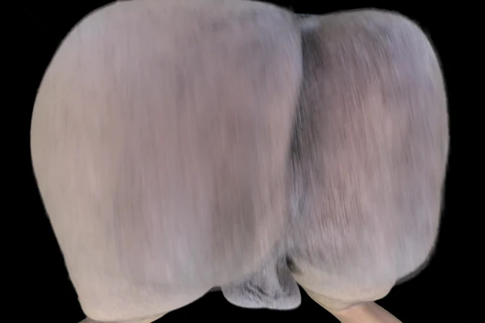 Manhole VR - Indian Hairy Crack & Balls: Manhole VR Presenta - crack indiano peloso &amp; palle vol. 1