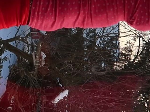 Tranny Pipe Window (VlakikSM trans)