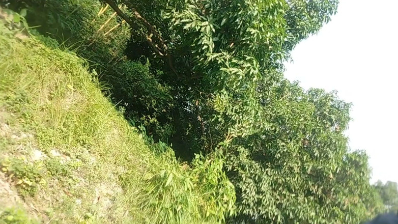 Salonibhabhi: Yang Gay Boy Outdoor Handjob