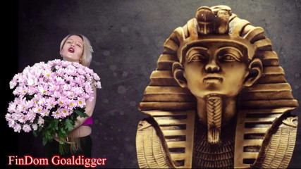 FinDom Goaldigger: VIP loserpaypig tillstånd