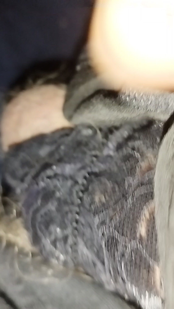 cyryl_444: पैंटीज के साथ हस्तमैथुन