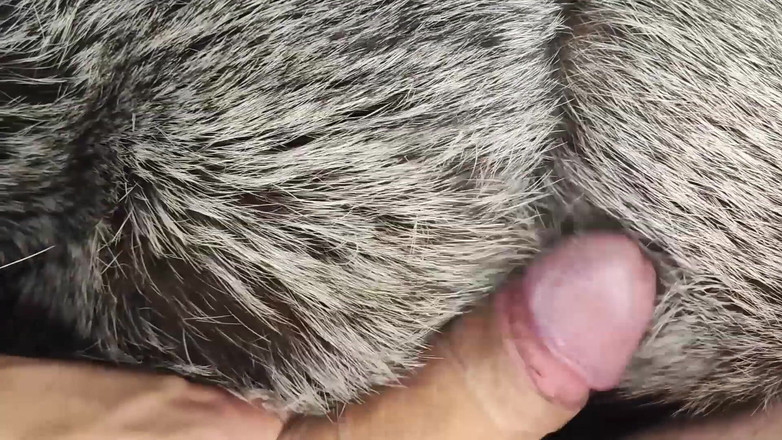 Princess18_: Trying on Fur Coats with a Guy and Fuck