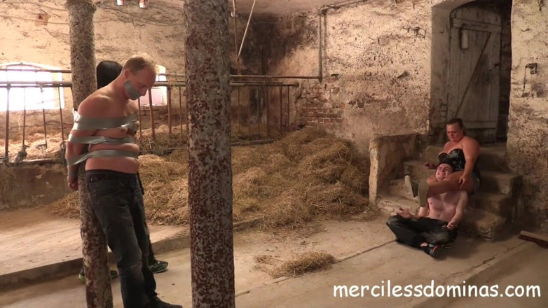 Merciless Dominas: Stable Boys