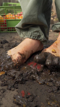 Squashing Tomatoes Barefoot in the Dirt Asmr