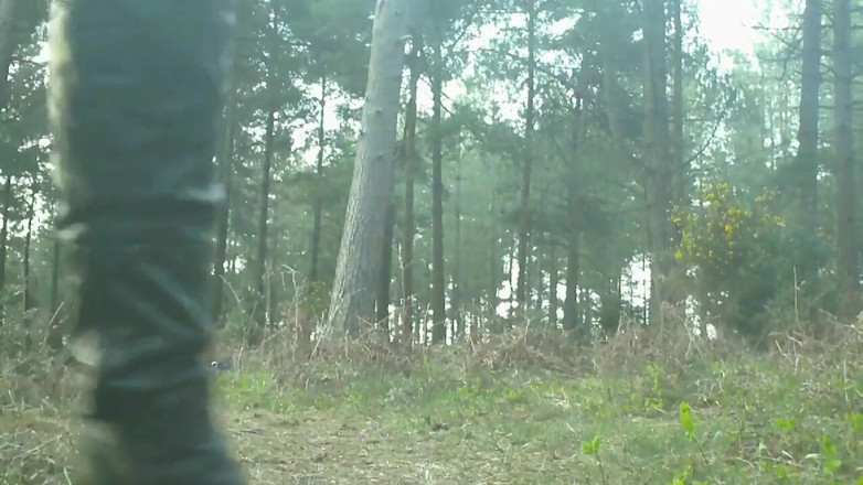 Movies by Louise: 숲속으로 내려가기