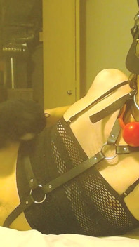 Pervertida Gatita Perfecta Trans