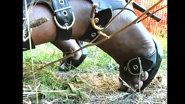 Shemale World: ニューハーフクレイジーアナル愛好家