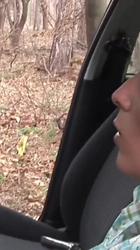 Brunette chick enjoys anal fuck in a car