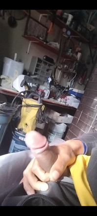 3131697031.mp4