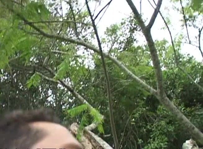 Bareback TV: Gorgeous guys having fun