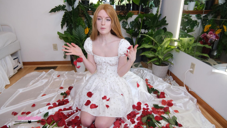 Destination Kat: 당신의 리그에서