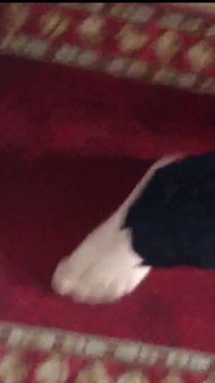 Fitnessschuhe und Absätze