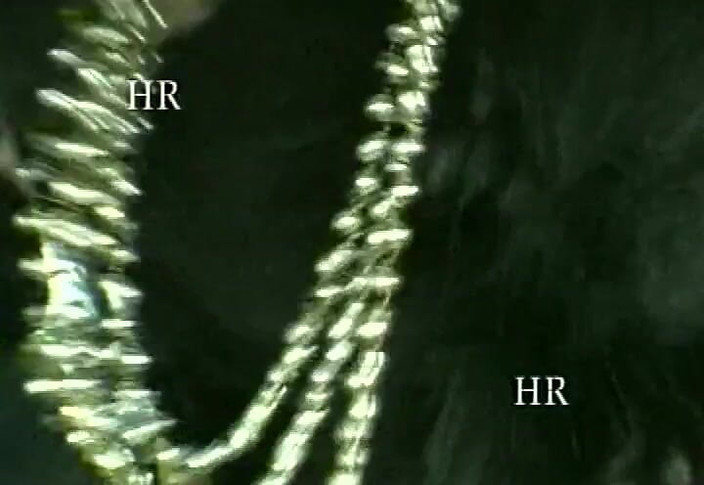 Italian swingers LTG: ウェブ上の独占ビデオでイタリアの90年代のセックス#3 - 不満なイタリアの女性!